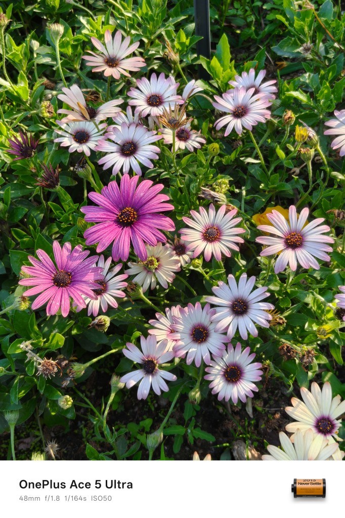 一加 Ace 5 至尊版全卖点评测:重新定义手游旗舰体验