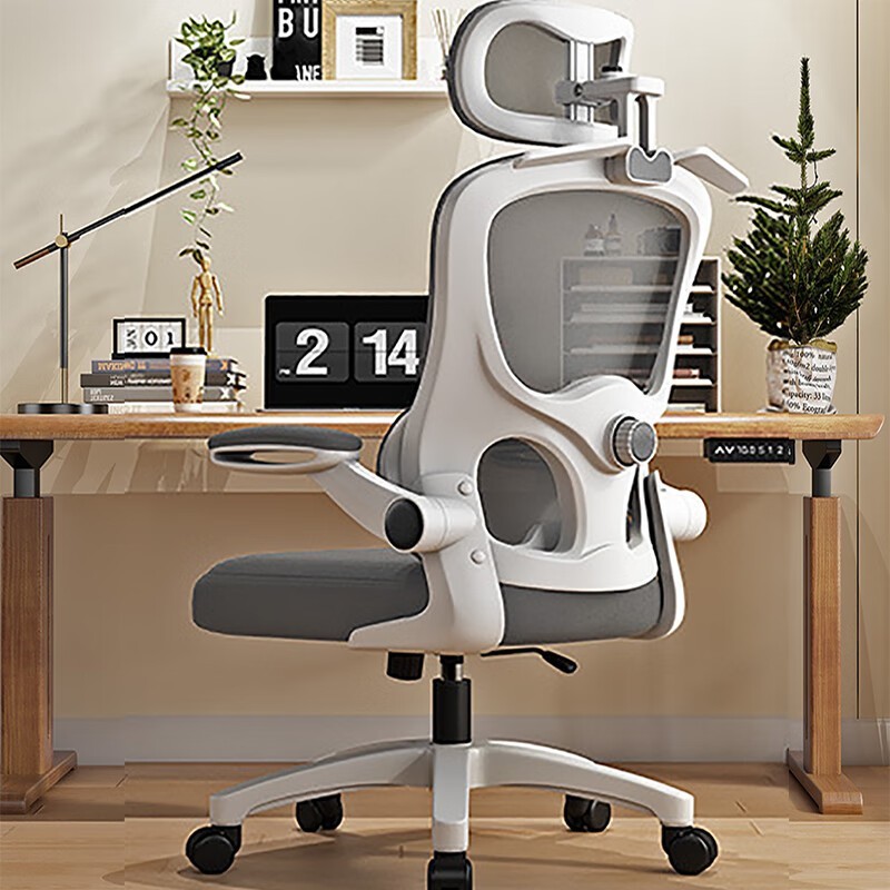 ���幤ѧ�칫�ξ���������298Ԫ����������