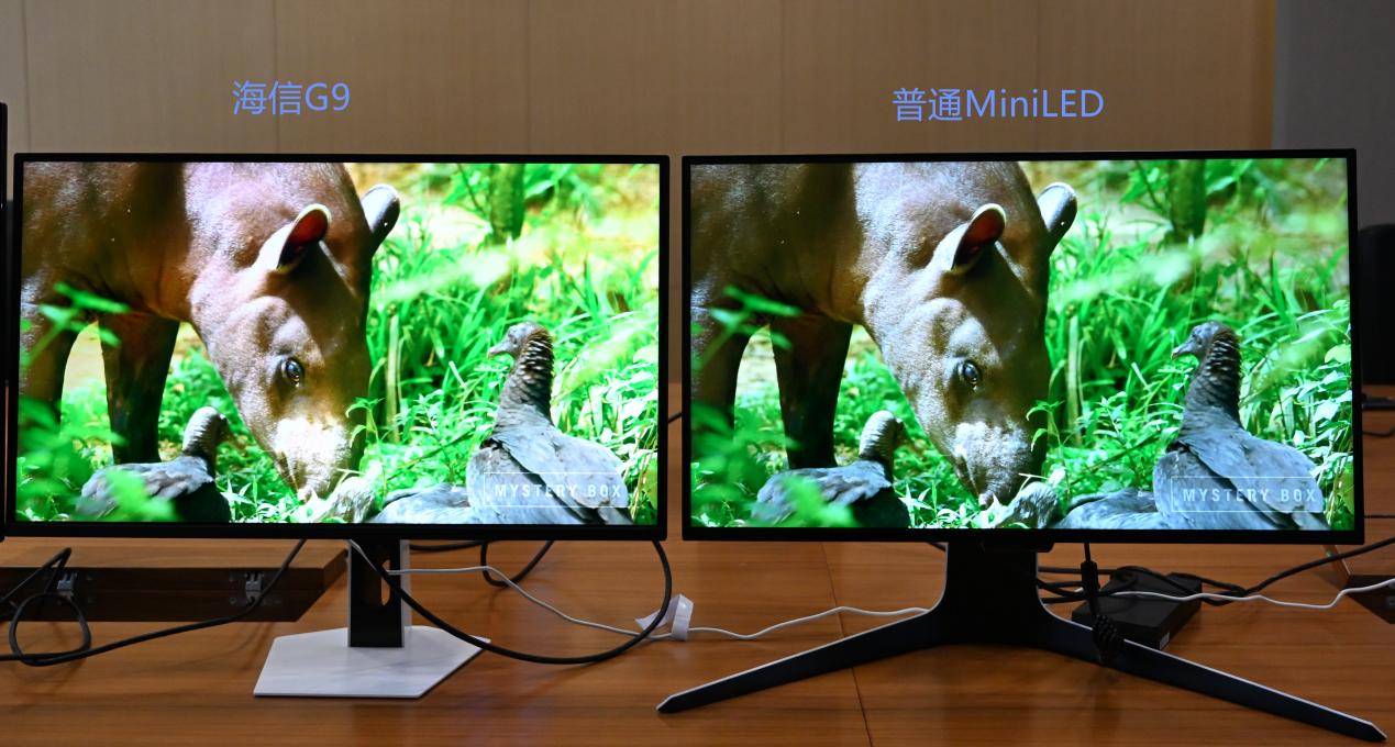 ŴʥG9ʾǰհ飺״MiniLED ʾ