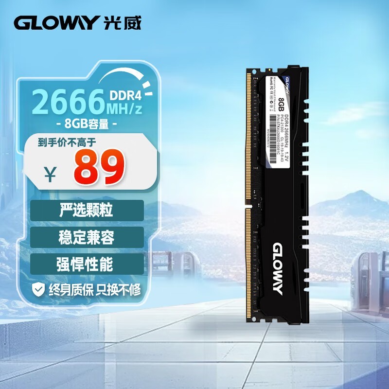   8GB DDR4 2666