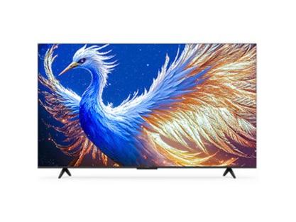 ���� ��6 25�� 75Ӣ��