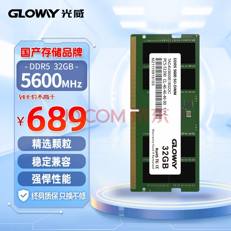 Gloway32GB DDR5 5600 ʼǱڴ Sϵ AI