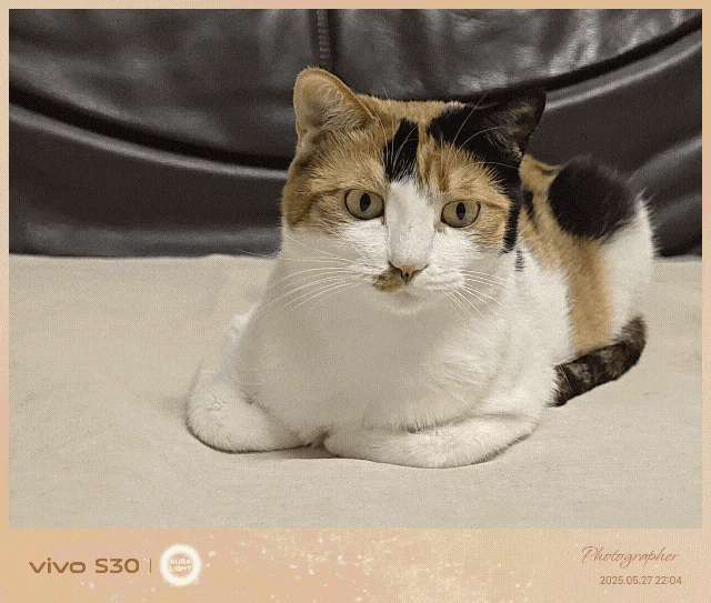 vivo S30全面评测:中端产品的轻重博弈