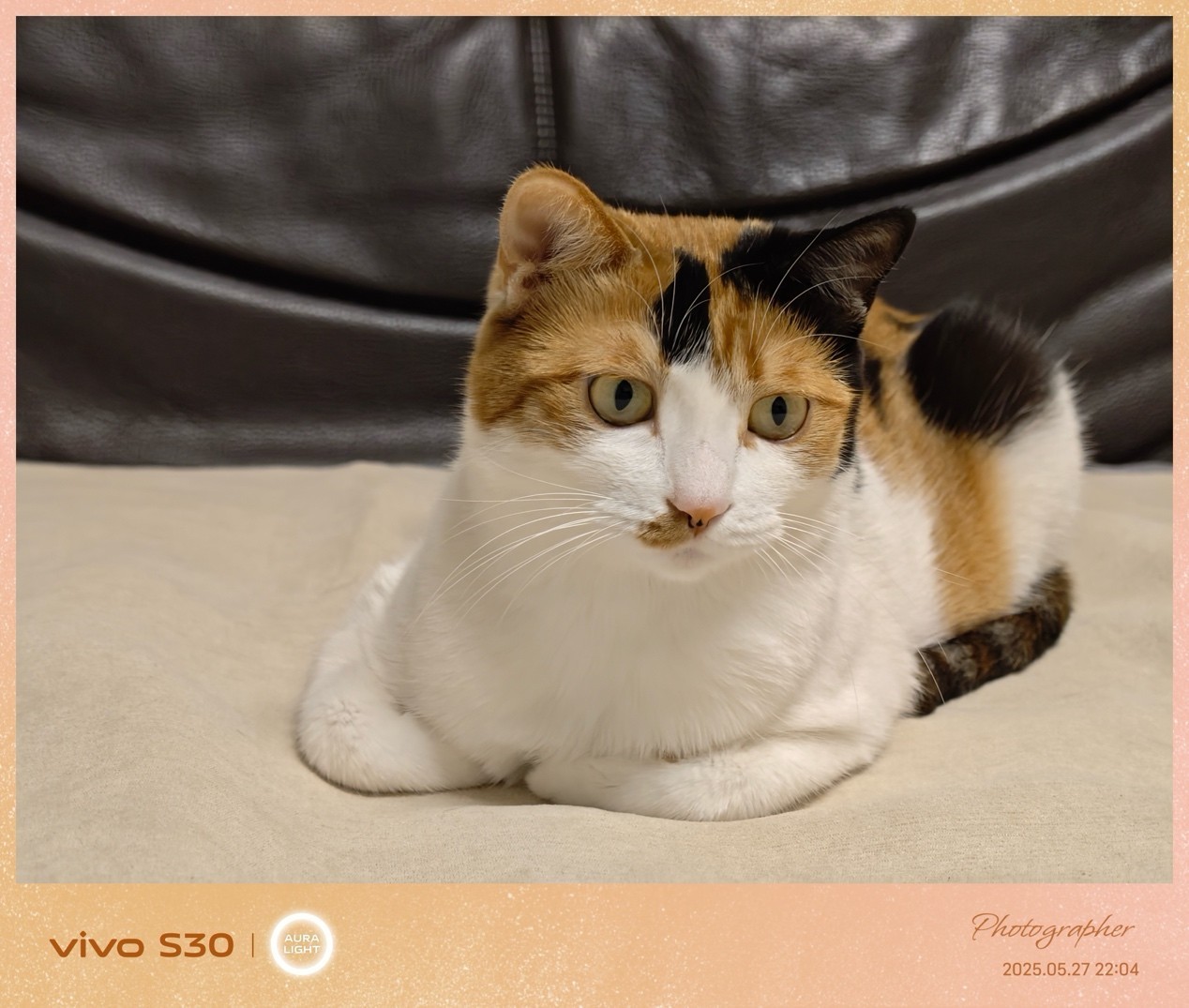 vivo S30全面评测:中端产品的轻重博弈