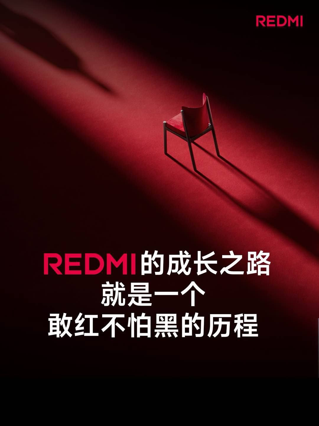 REDMIȫͻ11.1ڣʮƳȫƷƱʶ