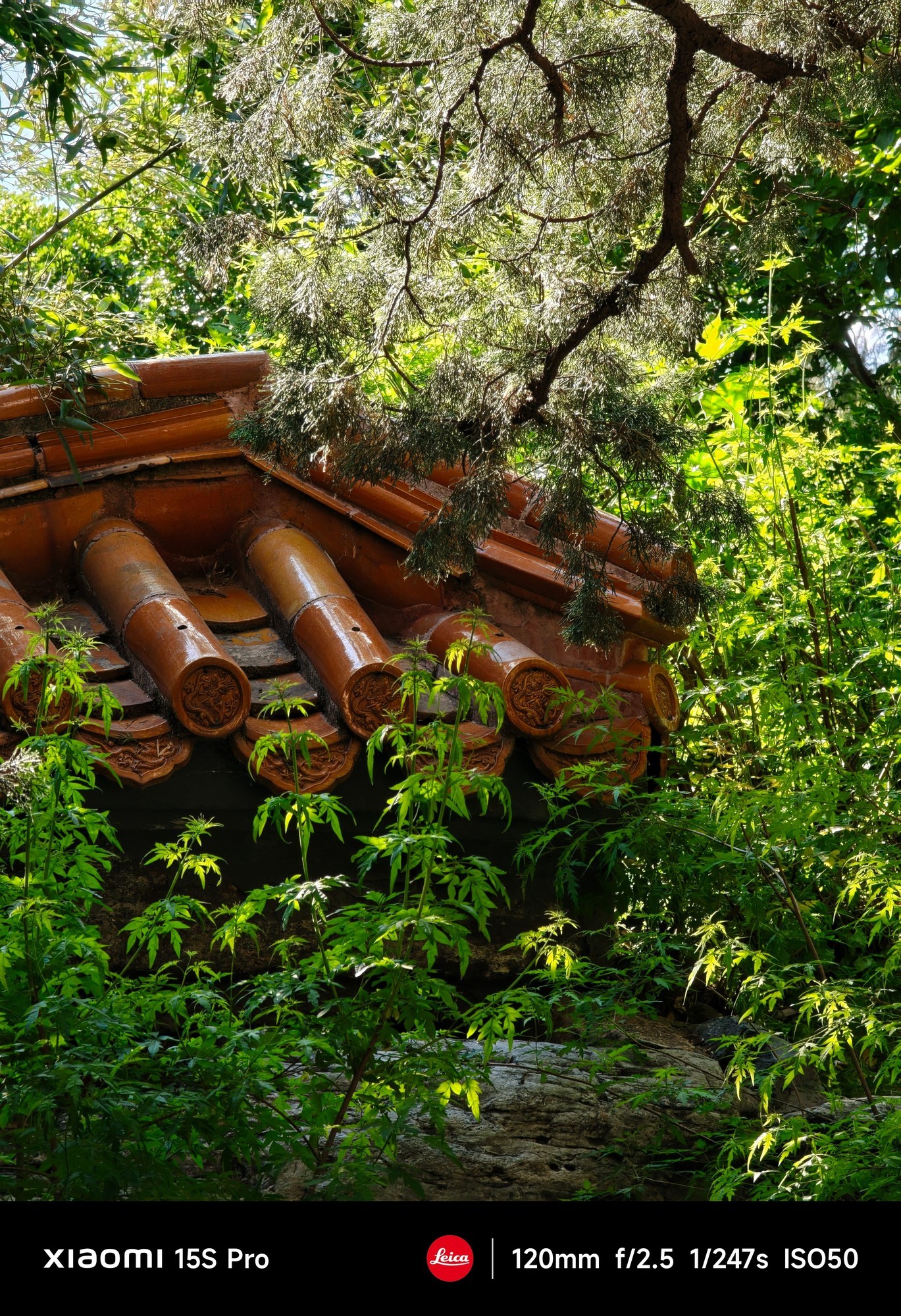 С������ISP��������ʲôˮƽ��