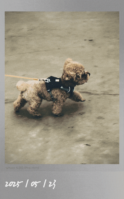 vivo S30 Pro mini���� С���������