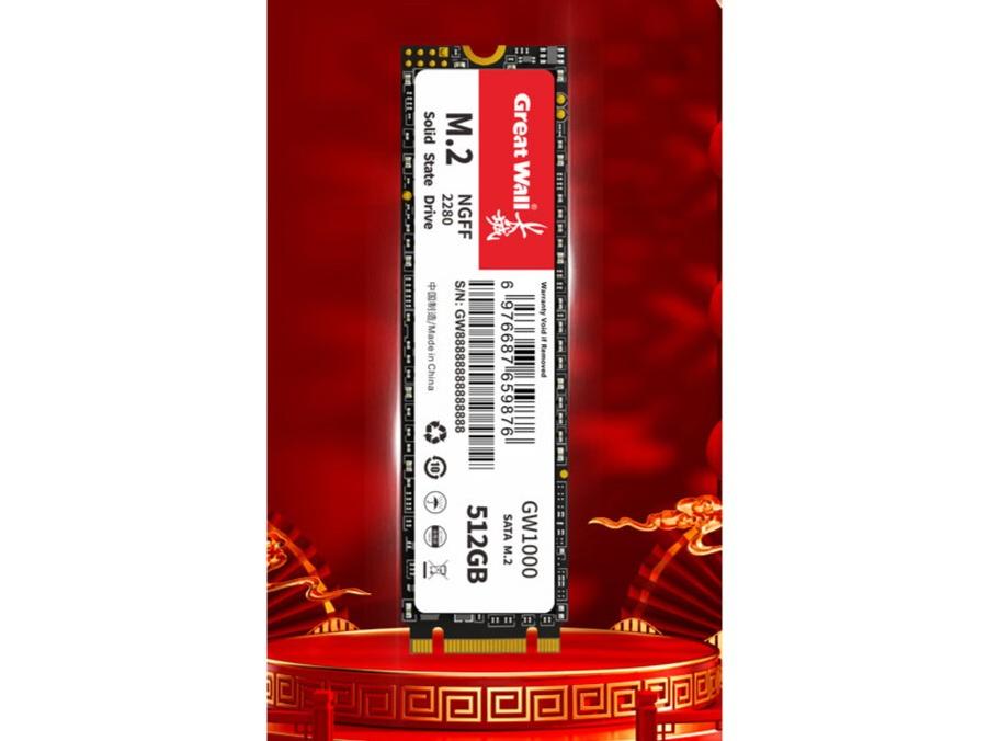  GW1000 512GB