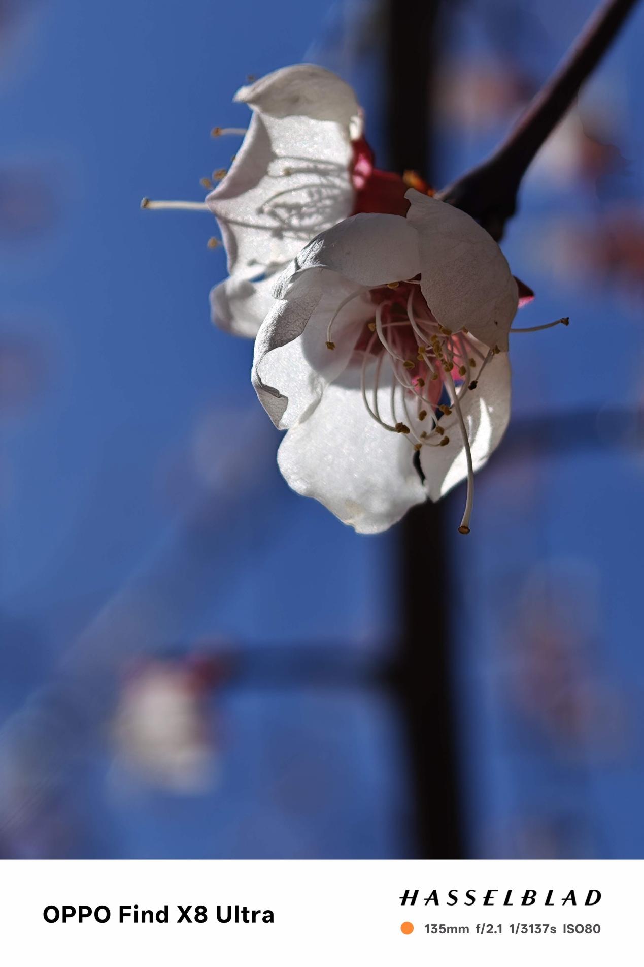 OPPO Find X8 Ultraȫ������ ��װ���󣬸��з���