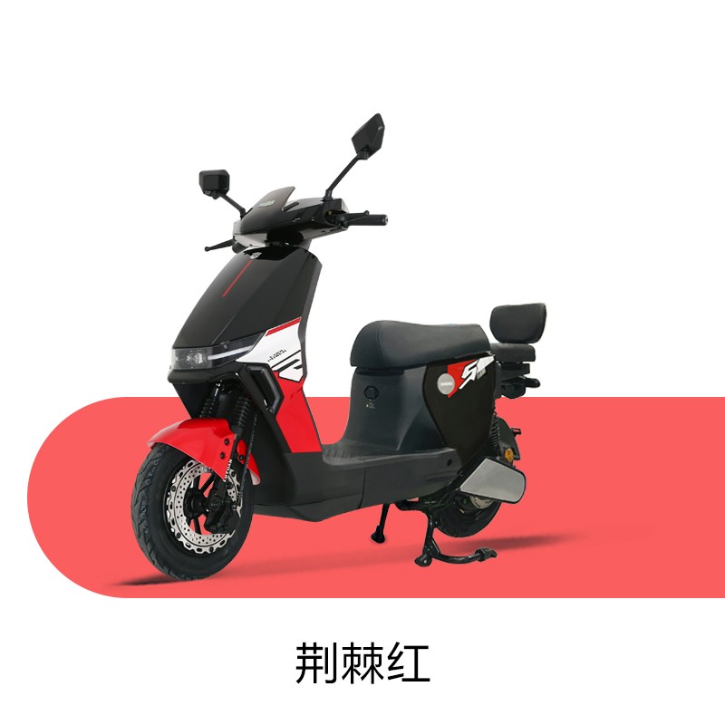 绿源 新国标电动自行车ZYY 48V30A锂电池成人男女接娃代步电瓶车