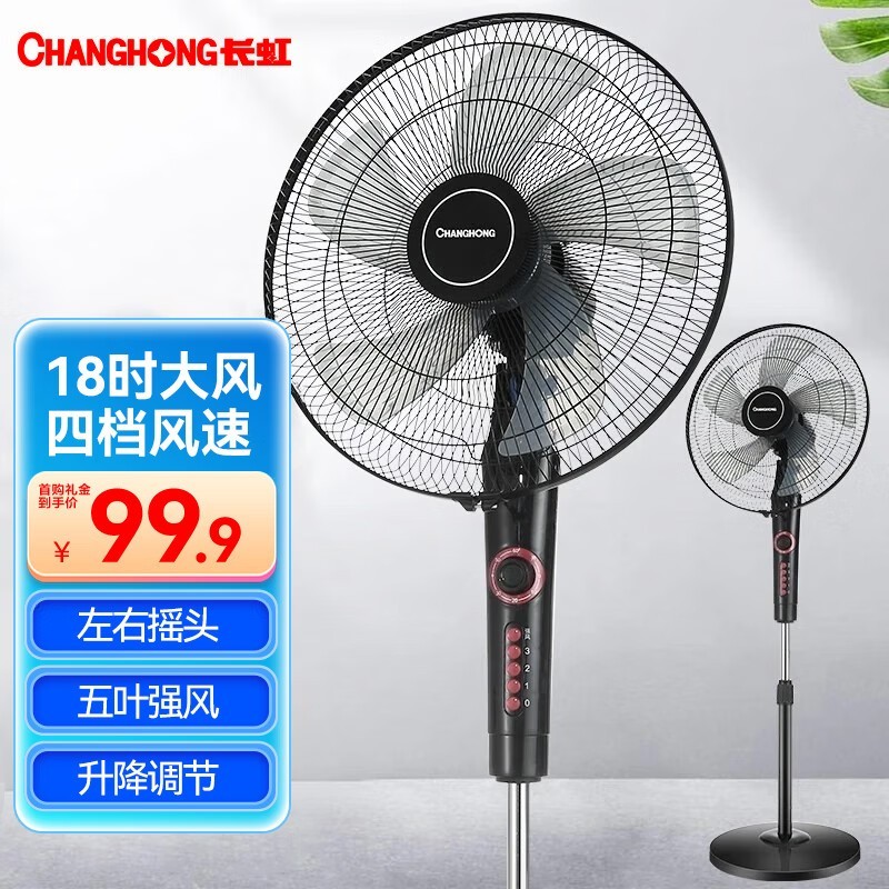 ޡ74.9֣̫ˣ