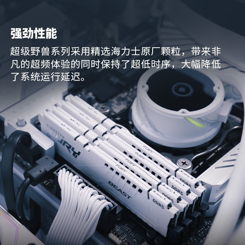 ʿFURY Beast DDR5ڴ16GB404Ԫ