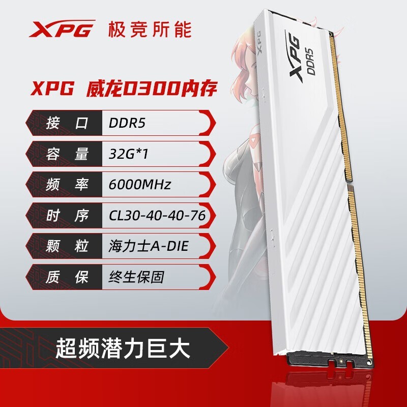 D300G DDR5ڴֻҪ639Ԫ