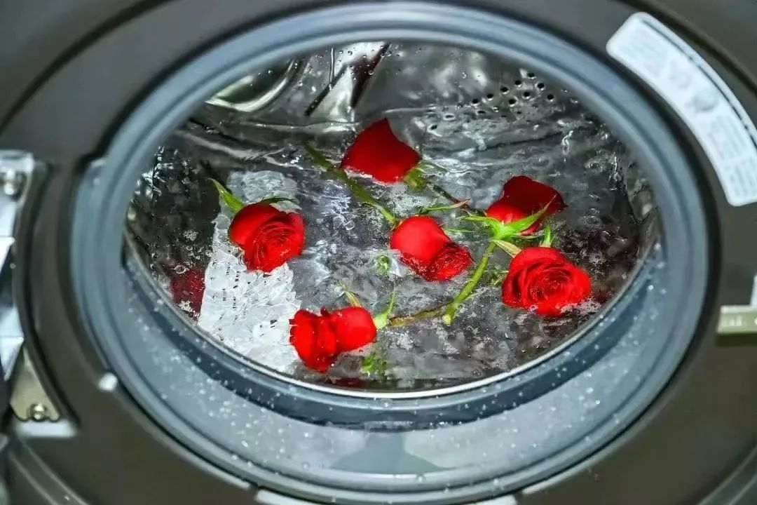 ǼңͶڣ˭Ͷ