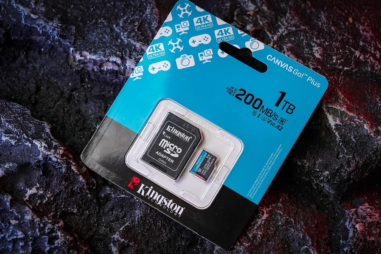 ʿCanvas Go!Plus microSD 4KӰɼԦ