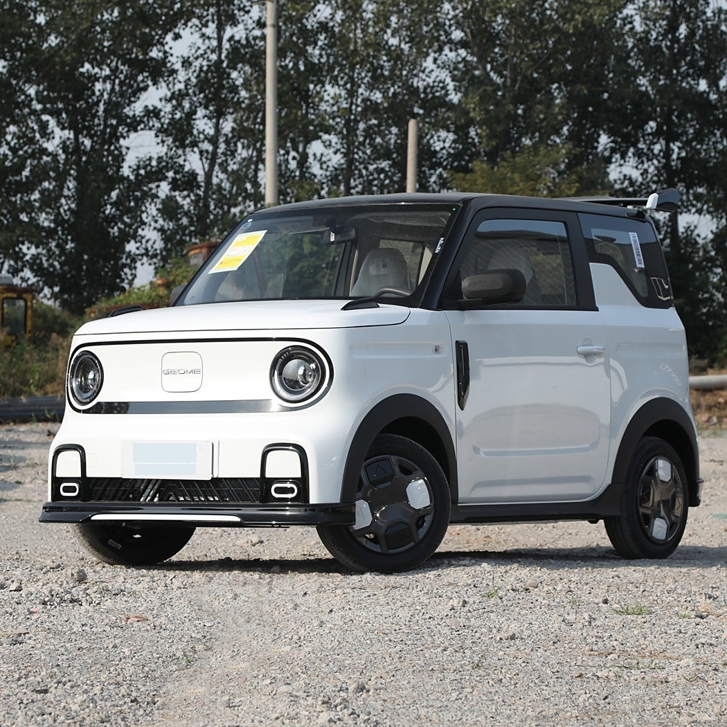 10ڴСTOP5MINIEVè˭ֵ