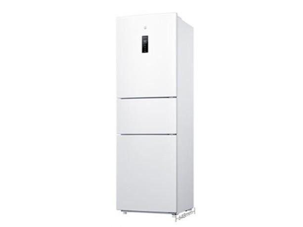 ׼ BCD-256WMSA