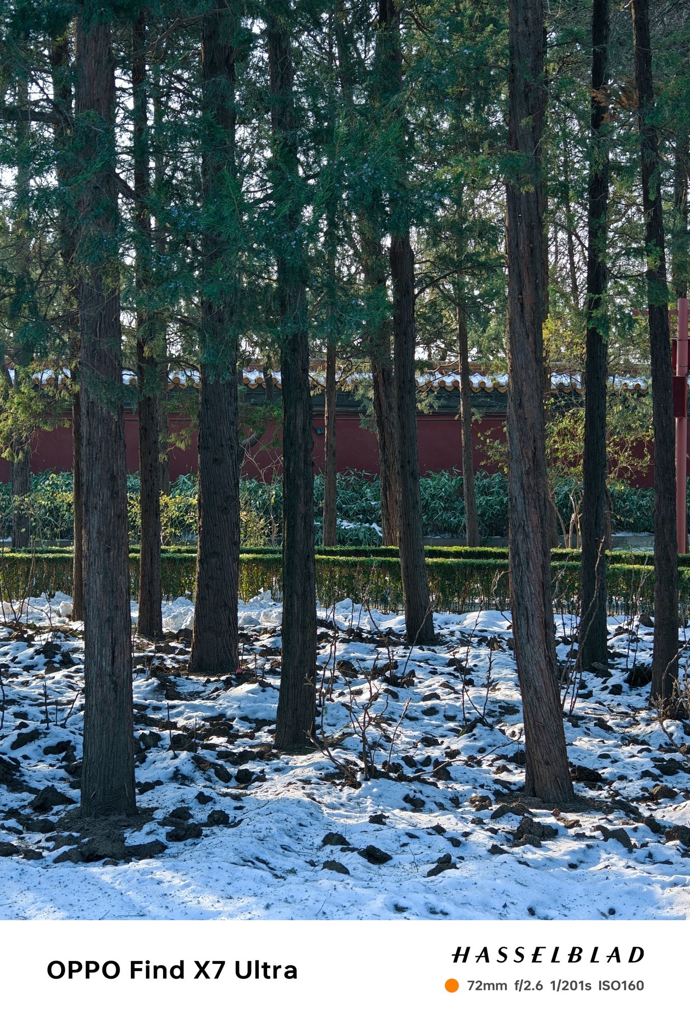 ˫Ǳ��+1Ӣ������ֻҪ3849������콢���ɱ����