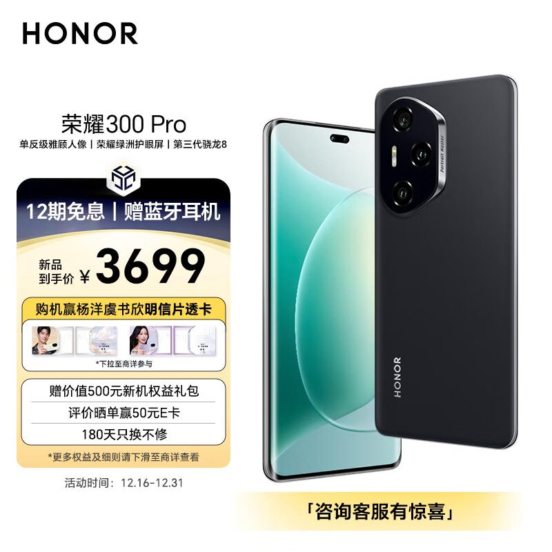 荣耀 300 Pro（12GB/512GB）