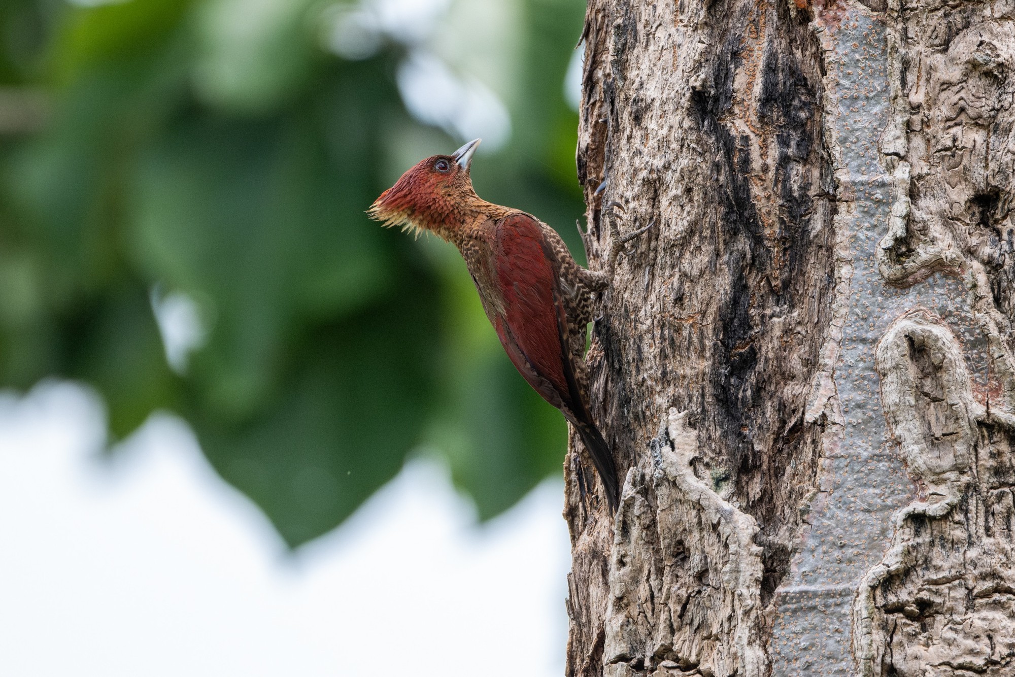 ʿXF500mmF5.6XF16-55mmF2.8ͷ