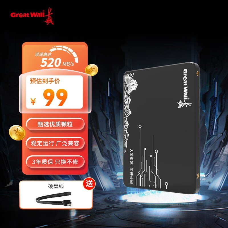  GW600256GB