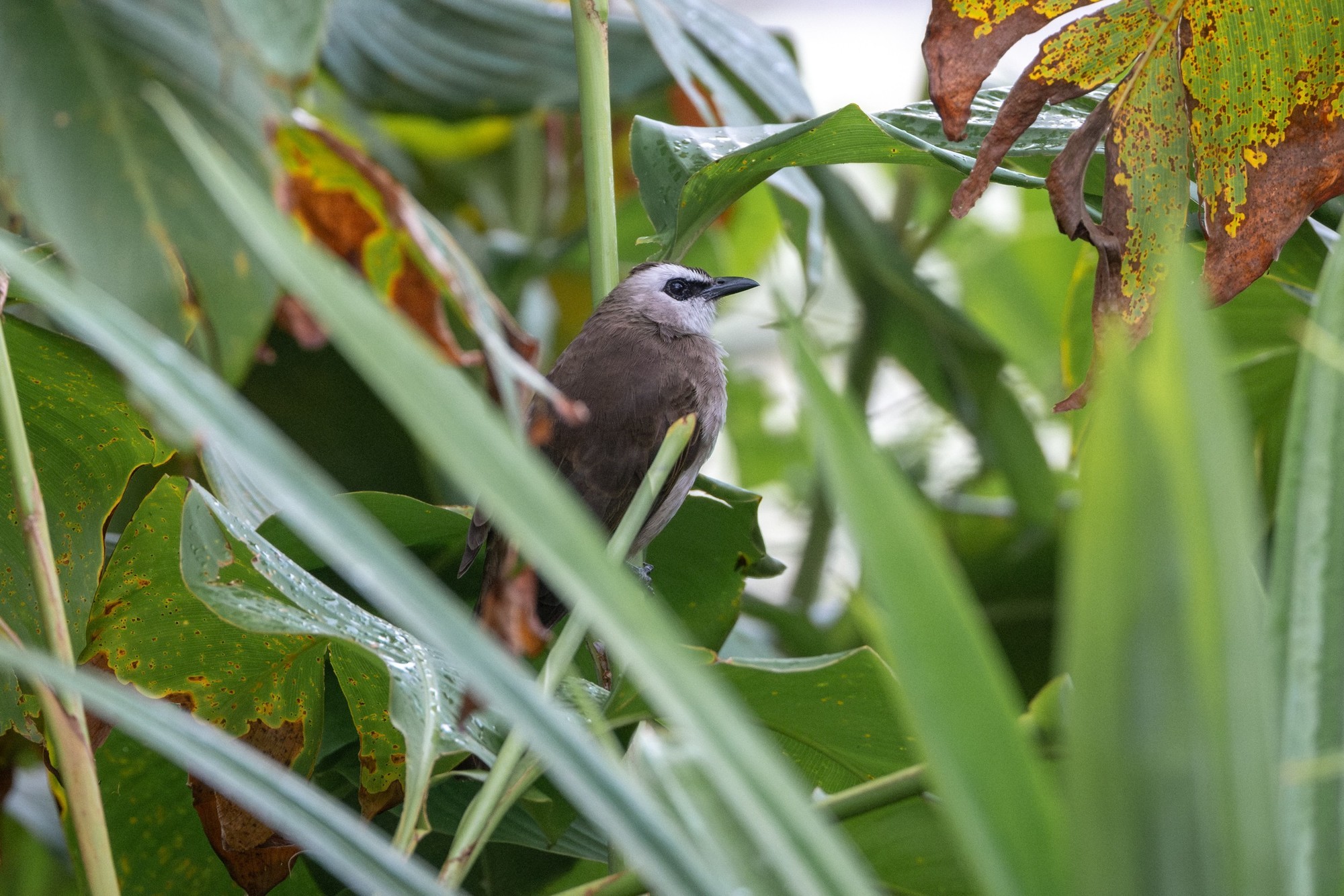 ʿXF500mmF5.6XF16-55mmF2.8ͷ