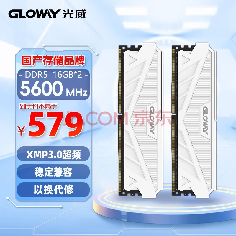 Gloway32GB(16GBx2)װ DDR5 5600 ̨ʽڴ ϵ AI