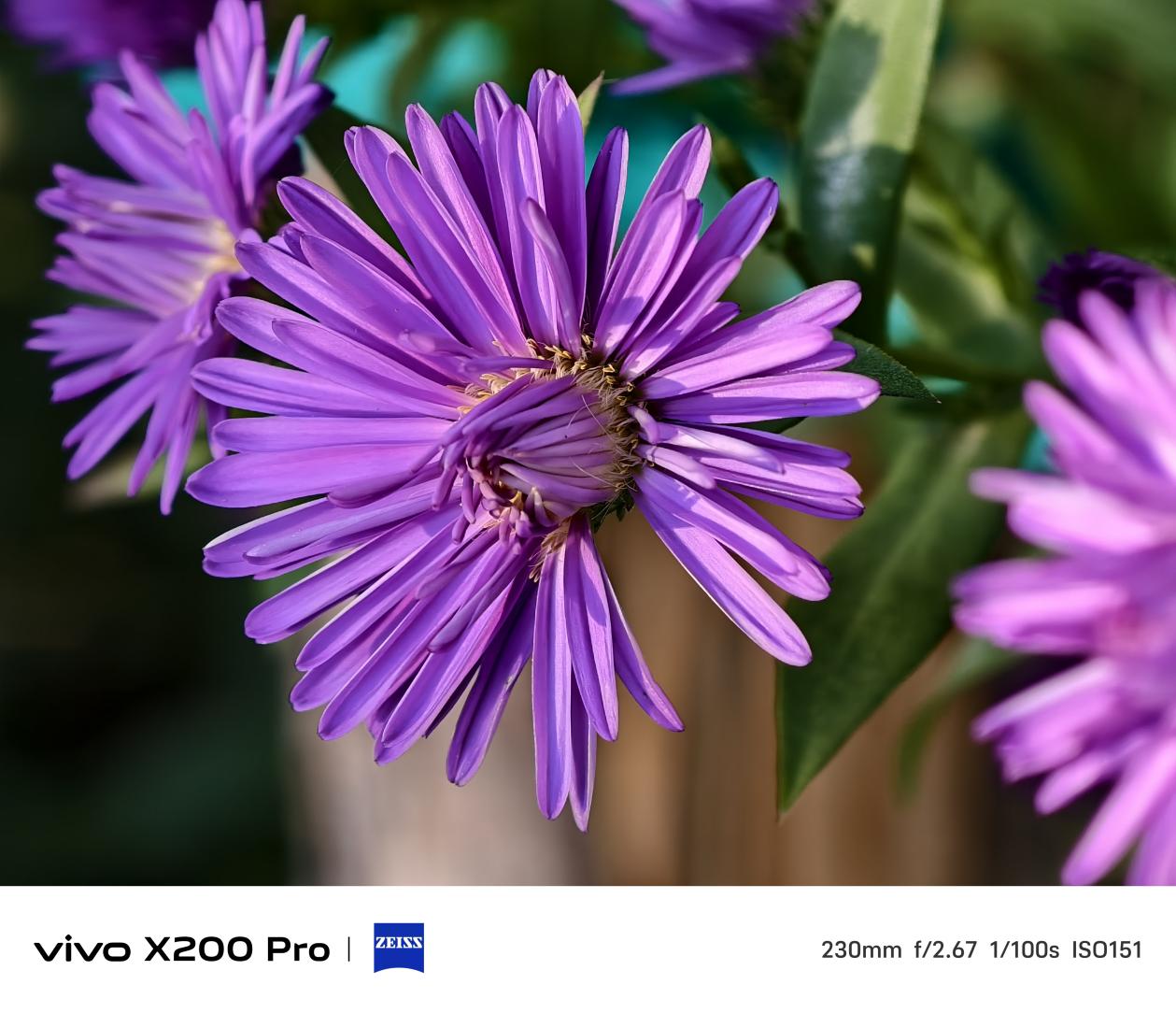 vivo X200 Pro ά