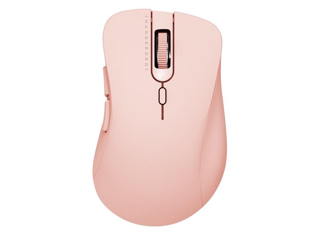  ML101