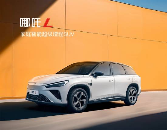 合众新能源汽车股份有限公司被罚3.3万元