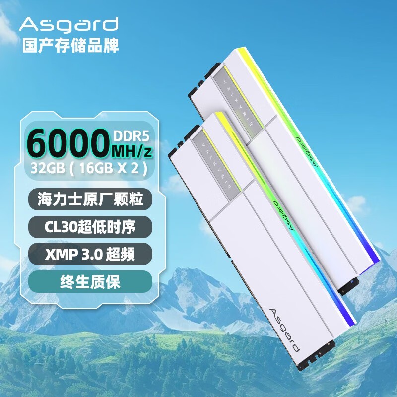 阿斯加特 瓦尔基里女武神二代 DDR5 6000 C30 32GB(2×16GB)