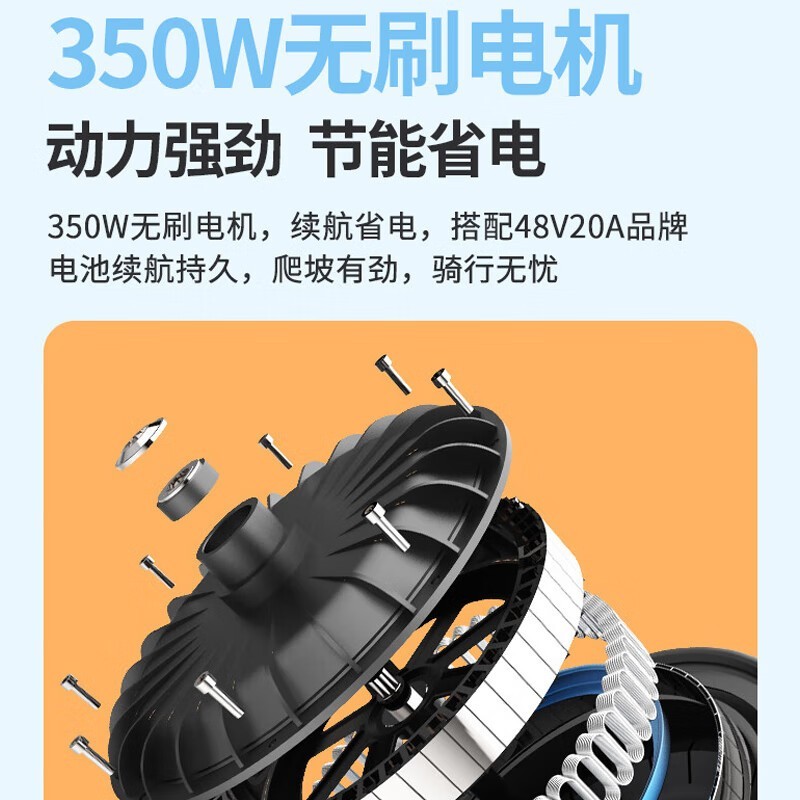綯48V20Ah׹200