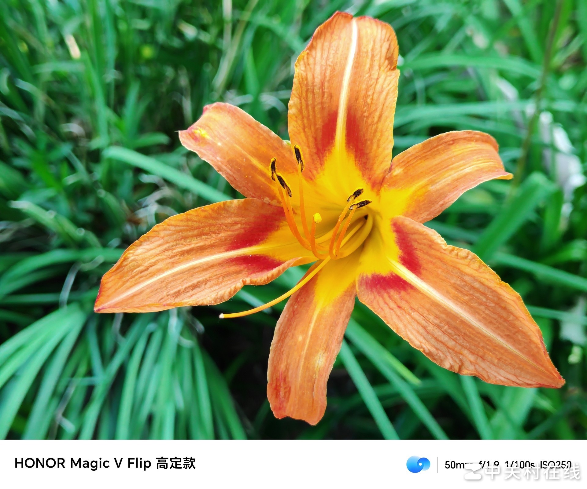 荣耀Magic V Flip全面评测 全面，不止一面