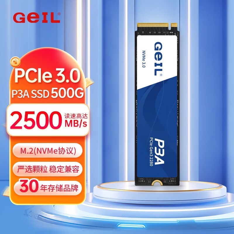  P3A 500GB