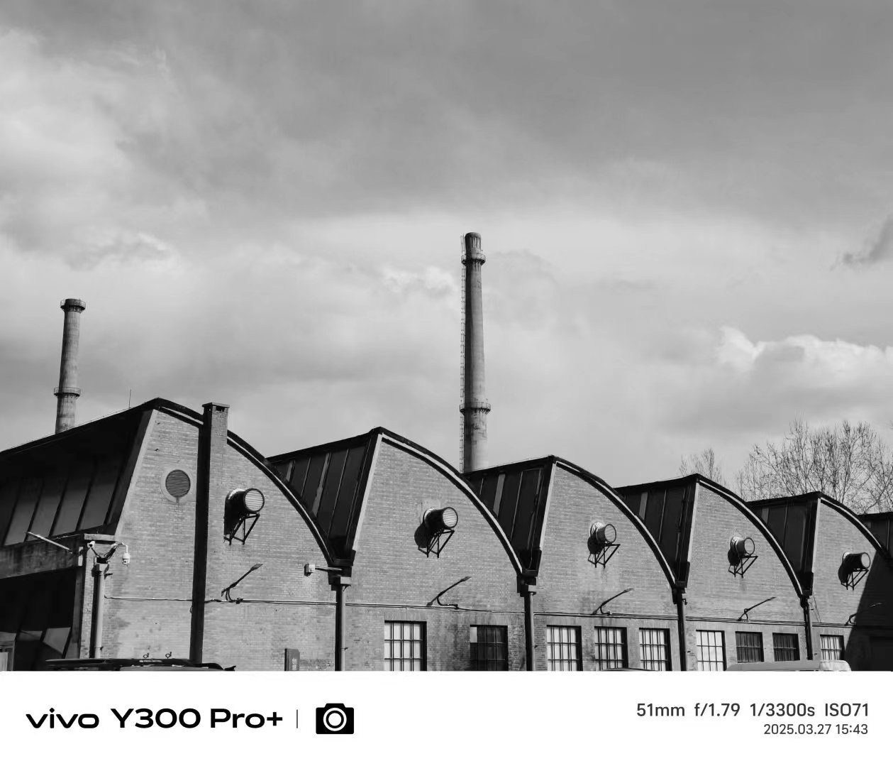 vivo Y300 Pro+Ӱ��ʵ�� �콢�����ջ��ж�