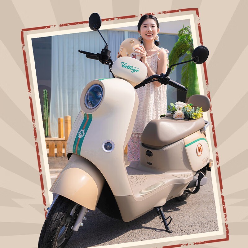 爱玛爱琪AM1000DT - 42电动车京东优惠价2999