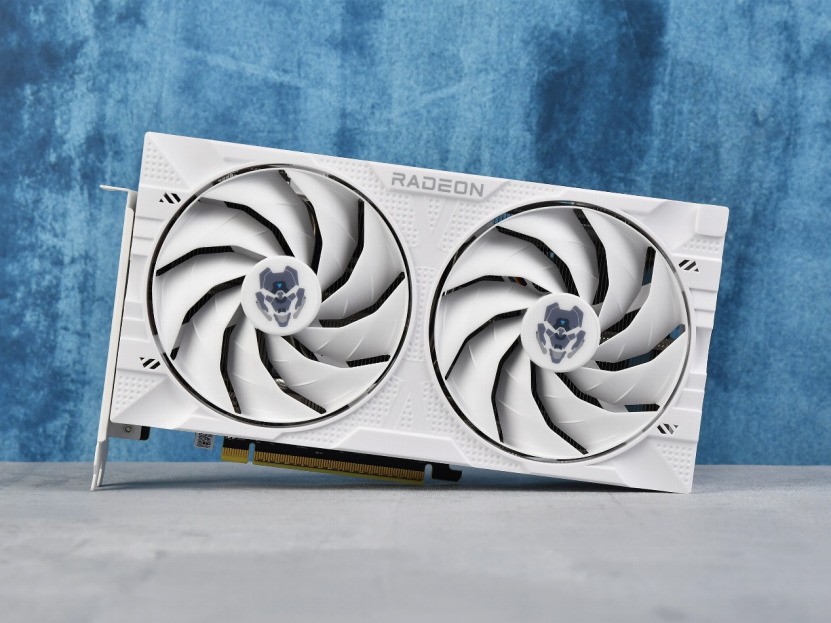 RX 9060 XT 8GϽԿ⣺Լ۱ĺڰ˫