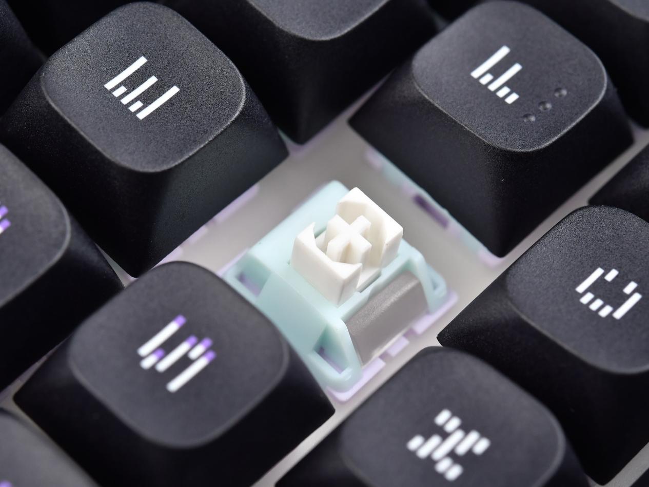 õ75%С̣΢GK600 W DUKE޶