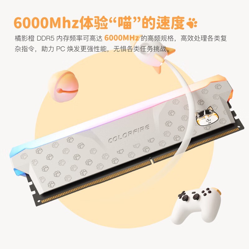 ޡ32G DDR5ڴؼ789Ԫ