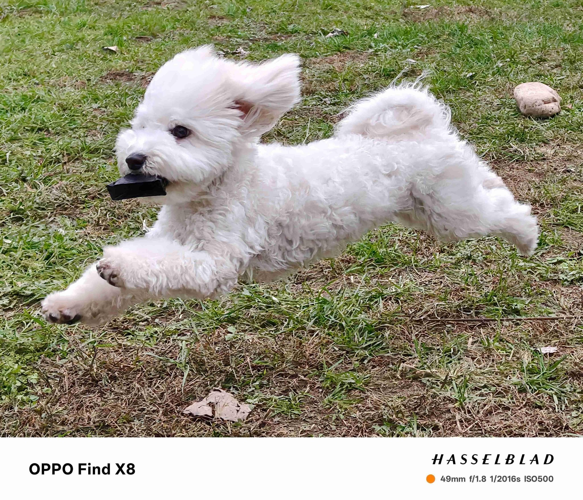 追求没那么极致,为什么选上代旗舰更超值?