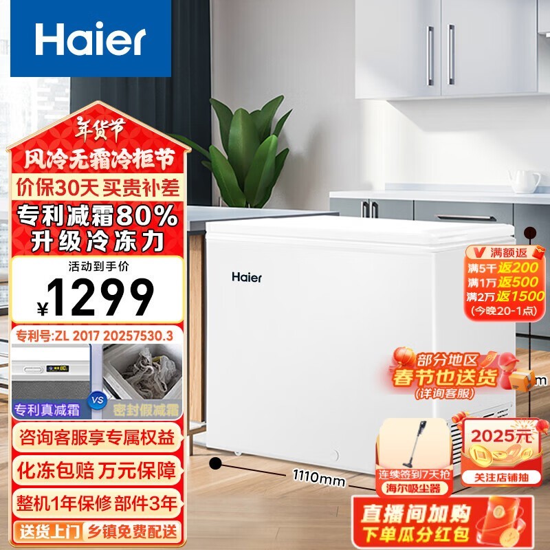 Haier BC/BD300GHD ׼