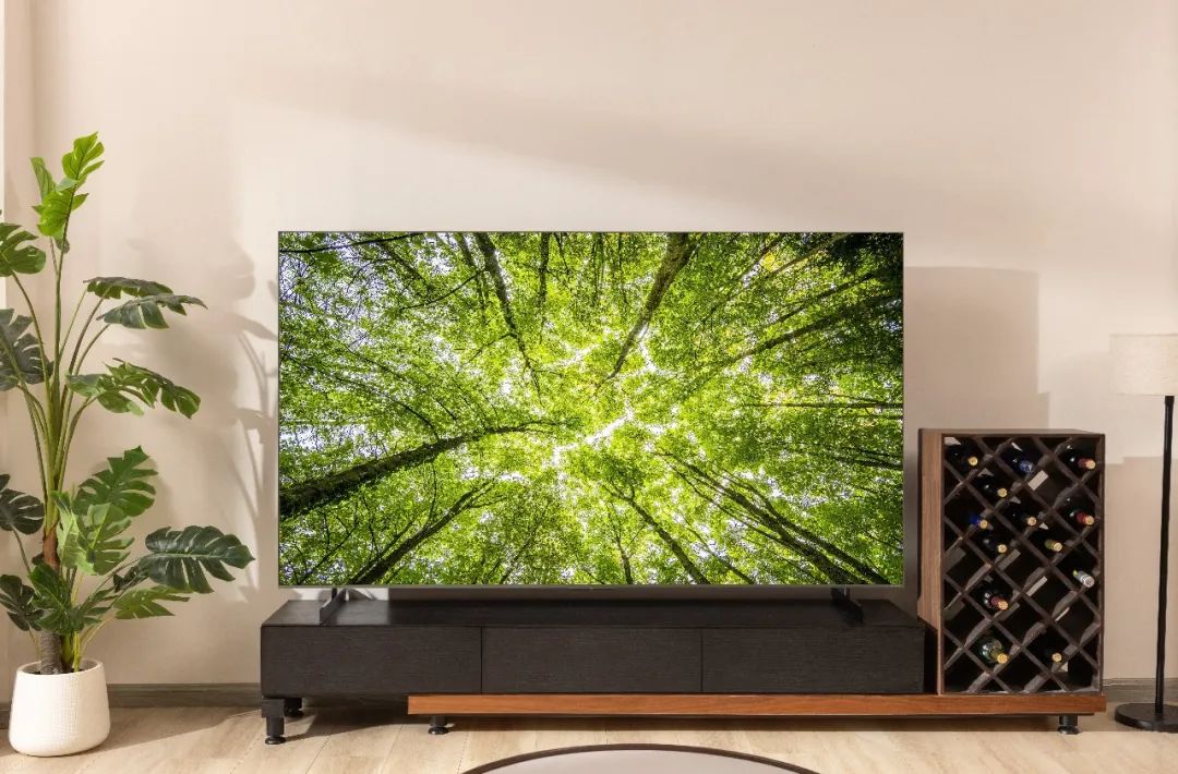 TCL5Mini LEDȫһйгQ1ٴζ