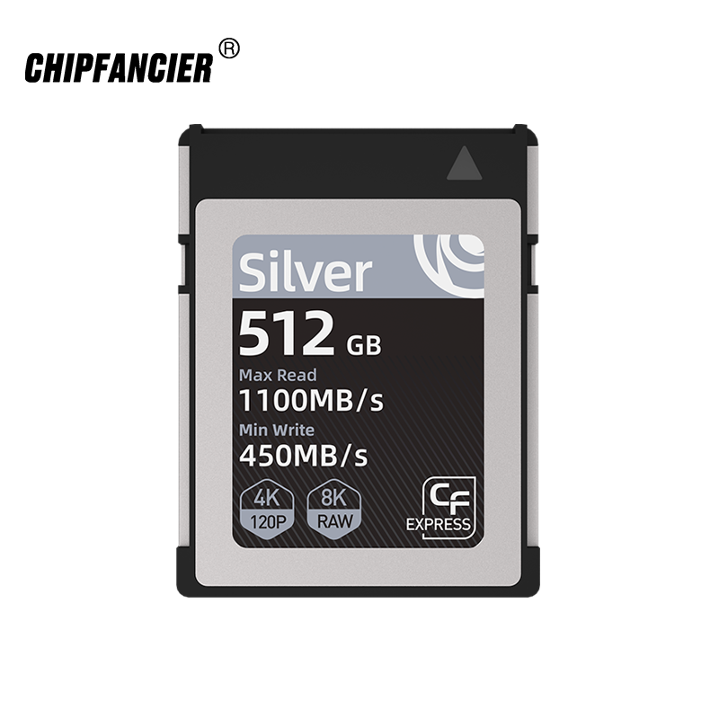 CHIPFANCIER 512GB洢698Ԫ