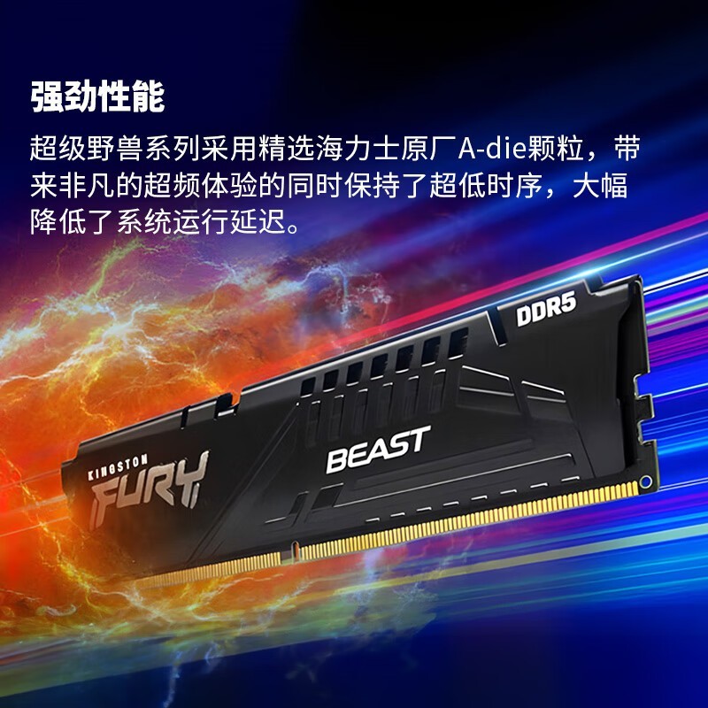 ʿFURY Beast DDR5ڴ澩Żݼ879Ԫ