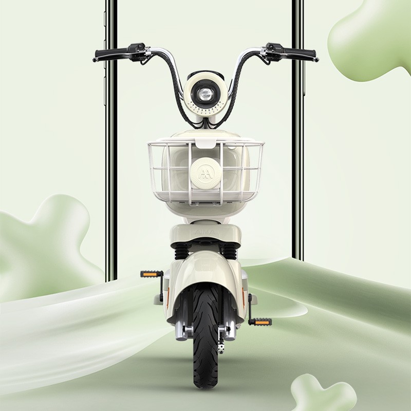 AIMA 爱玛 元宇宙 电动自行车 48V 24Ah