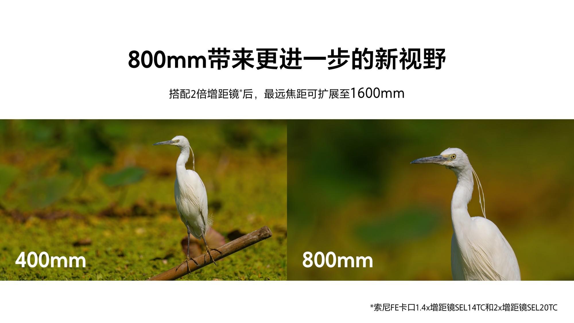 FE 400-800mm F6.3-8 G OSS FE 16mm F1.8 G