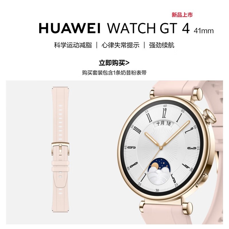 ޡΪWATCH GT4ֱ1541Ԫ֣