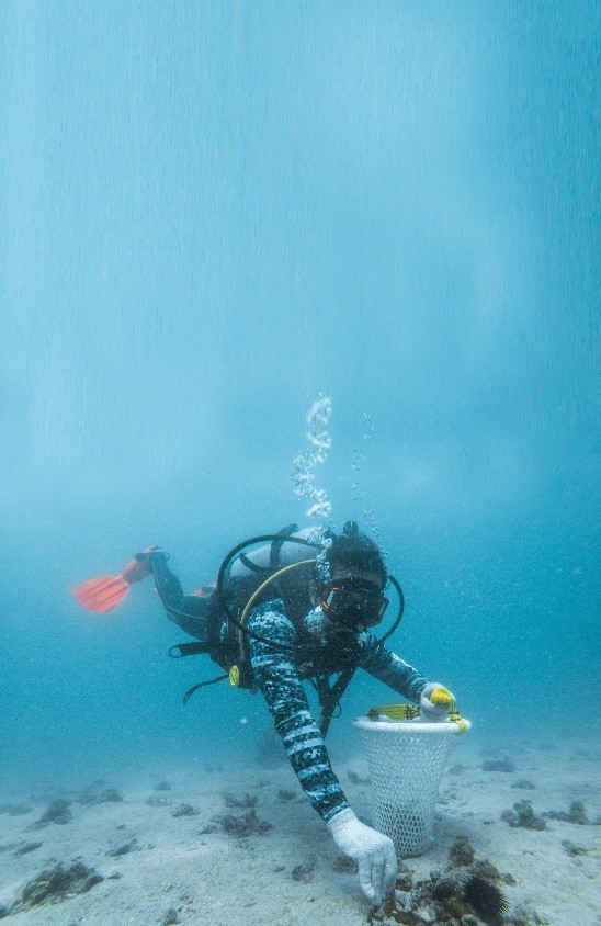 去哪儿:这个直飞落地签的低调土豪国值得拥有