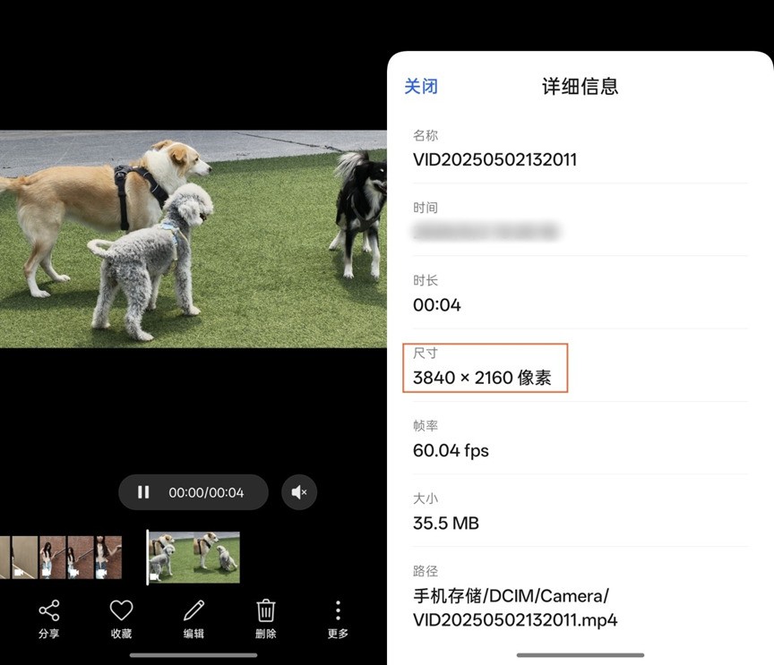 视频足够成熟的当下,为什么实况照片会越来越流行?