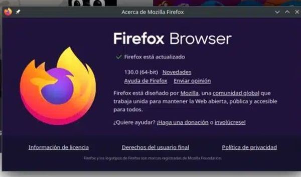 Firefox 130发布：修正安全问题 支撑文本翻译